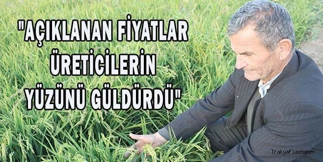 CUMHURBAŞKANI AÇIKLADI, ÇELTİK ÜRETİCİLERİNİN YÜZÜ GÜLDÜ