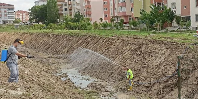 BÜYÜKŞEHİR KAPAKLI`DA İLAÇLAMA YAPTI