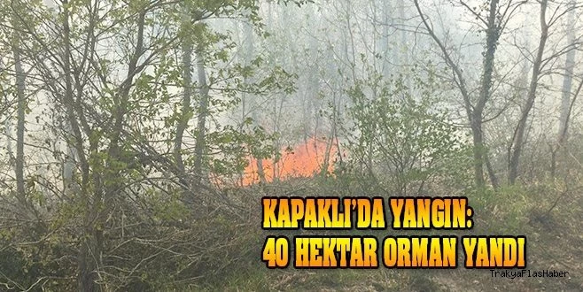 KAPAKLI`DA 40 HEKTAR ORMAN YANDI