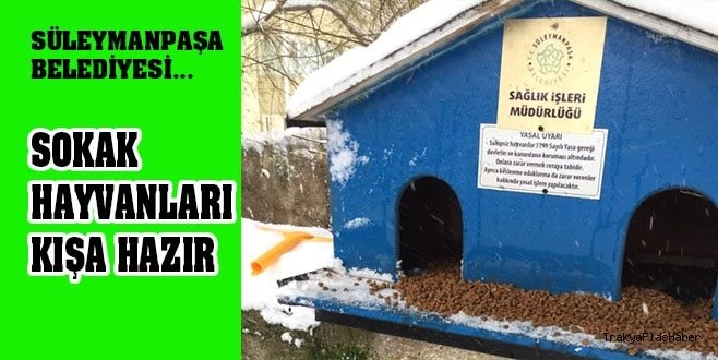 SÜLEYMANPAŞA BELEDİYESİ SOKAK HAYVANLARINI UNUTMADI