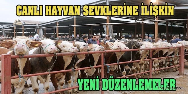 TRAKYA?YA YAPILACAK CANLI HAYVAN SEVKLERİNE İLİŞKİN DUYURU