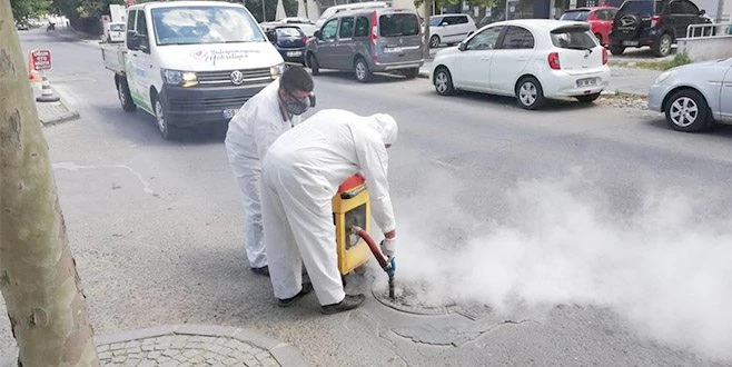 SÜLEYMANPAŞA?DA LARVA MÜCADELESİ DEVAM EDİYOR