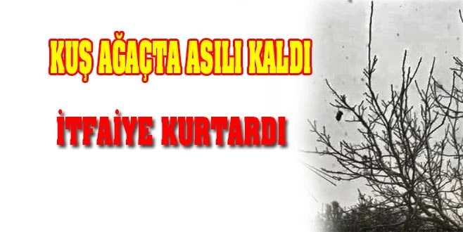 İTFAİYE KURTARDI